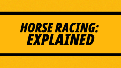 Horse Racing Betting: Types of races explained